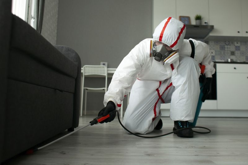 Pest Inspection Service