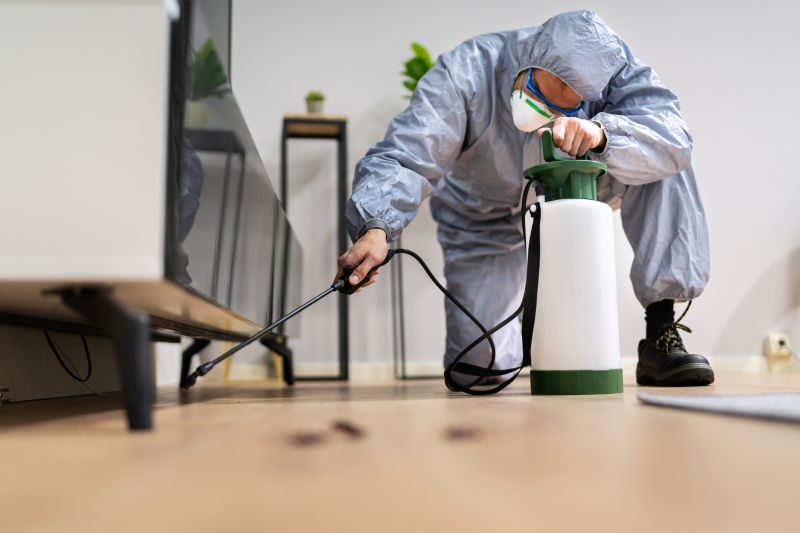 Pest Inspection Service in Katy, TX